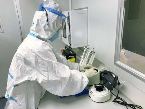 四會提供新冠病毒核酸檢測服務，最快3小時可出報告